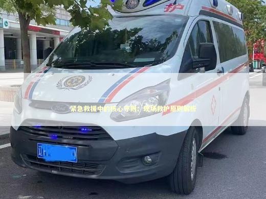 紧急救援中的核心守则：现场救护原则解析